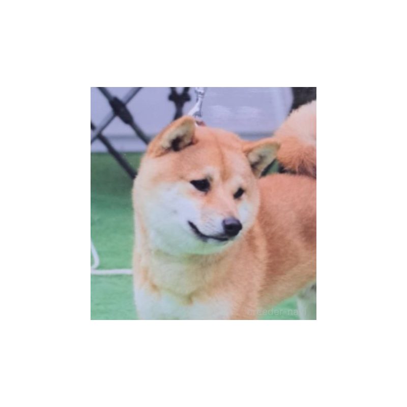 カイリくん1枚目
